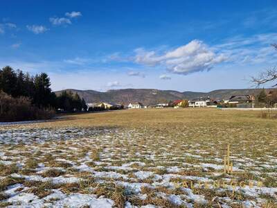 Grundstück kaufen in 2722 Weikersdorf (Bild 4)