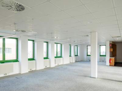 Gewerbeobjekt mieten in 1220 Wien (Bild 5)