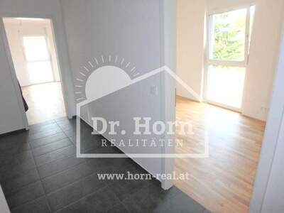 Wohnung mieten in 8042 Graz (Bild 1)