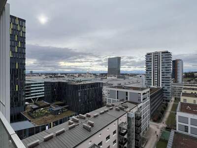 Wohnung mit Balkon mieten in 4020 Linz (Bild 5)