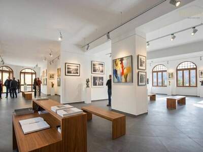 Gewerbeobjekt kaufen in 9872 Millstatt