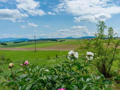 Haus kaufen in 4891 Geretseck (Bild 3)