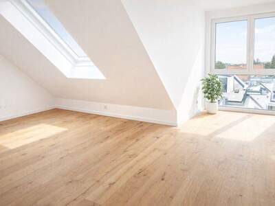 Terrassenwohnung kaufen in 1220 Wien (Bild 1)