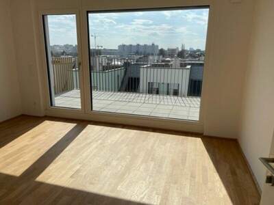 Terrassenwohnung mieten in 1220 Wien (Bild 3)