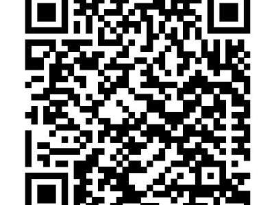 Grundstück kaufen in 5753 Saalbach (Bild 4)