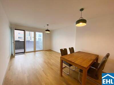Terrassenwohnung mieten in 1230 Wien (Bild 1)