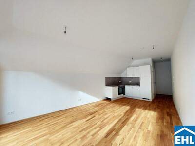 Terrassenwohnung mieten in 1110 Wien (Bild 2)