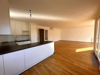 Terrassenwohnung mieten in 1190 Wien (Bild 5)