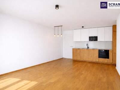 Terrassenwohnung mieten in 1230 Wien (Bild 4)