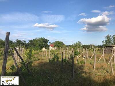 Haus kaufen in 7570 Barcs (Bild 1)