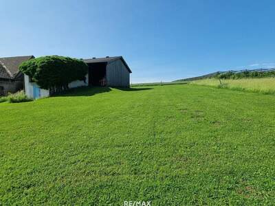 Grundstück kaufen in 3386 Sasendorf (Bild 2)