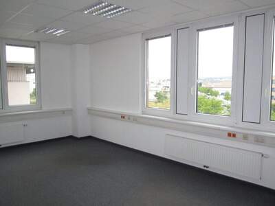 Gewerbeobjekt mieten in 1230 Wien (Bild 1)