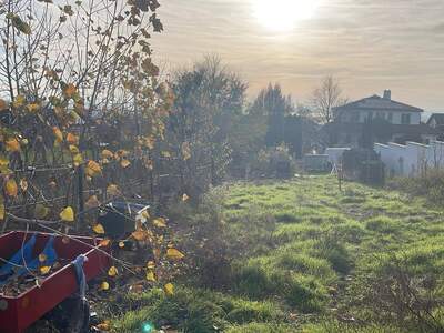 Anlageobjekt provisionsfrei kaufen in 7100 Neusiedl