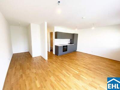 Terrassenwohnung mieten in 1110 Wien (Bild 3)