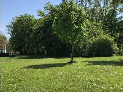 Mietwohnung in 4400 Steyr (Bild 5)