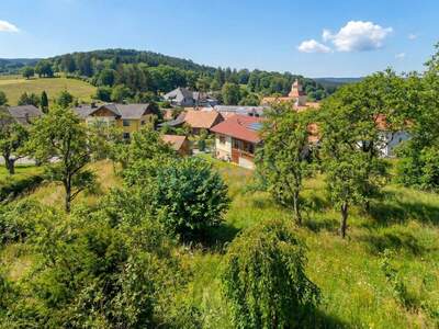 Gewerbeobjekt kaufen in 2560 Alkersdorf (Bild 3)