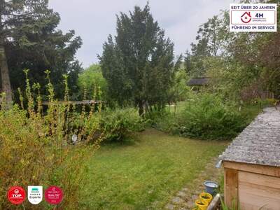 Einfamilienhaus kaufen in 2512 Tribuswinkel (Bild 5)