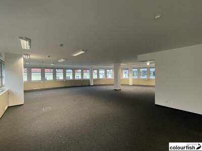Gewerbeobjekt mieten in 1050 Wien (Bild 2)
