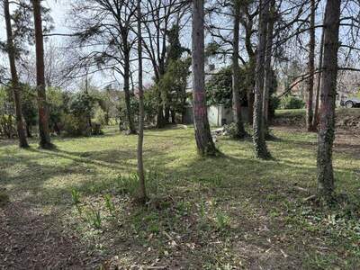 Grundstück kaufen in 7000 Eisenstadt (Bild 2)