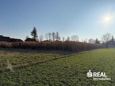 Grundstück kaufen in 5280 Braunau (Bild 2)