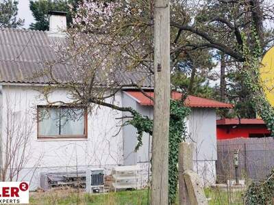 Haus kaufen in 2201 Gerasdorf