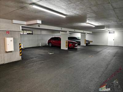 Halle / Lager / Produktion kaufen in 2483 Ebreichsdorf (Bild 2)