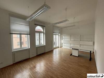 Gewerbeobjekt mieten in 1190 Wien (Bild 3)