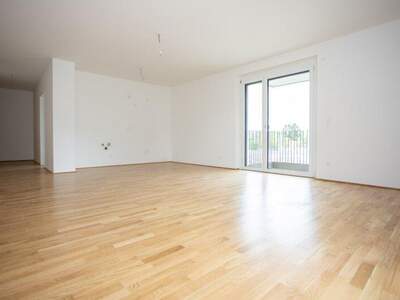 Terrassenwohnung kaufen in 2700 Wr. Neustadt (Bild 3)