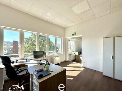 Gewerbeobjekt mieten in 2345 Brunn (Bild 5)