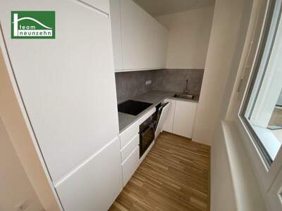 Terrassenwohnung mieten in 1230 Wien (Bild 5)