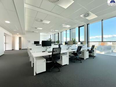 Gewerbeobjekt mieten in 1220 Wien (Bild 1)