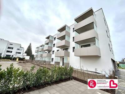 Wohnung kaufen in 4780 Schärding Innere Stadt