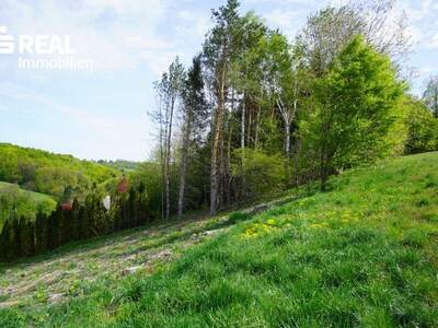 Grundstück kaufen in 3033 Altlengbach (Bild 3)