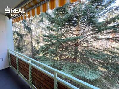 Wohnung mieten in 2344 Maria Enzersdorf (Bild 2)