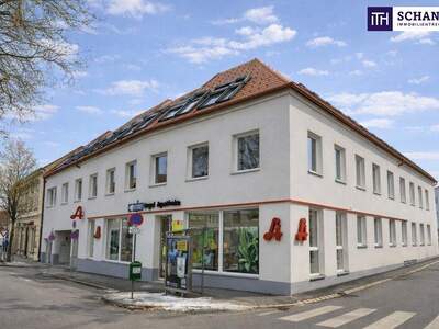 Wohnung kaufen in 2514 Traiskirchen (Bild 1)