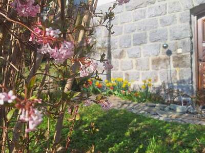 Haus kaufen in 4910 Ried (Bild 1)