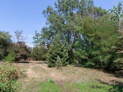 Grundstück kaufen in 2425 Nickelsdorf