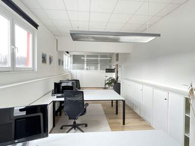 Gewerbeobjekt mieten in 5301 Eugendorf (Bild 3)
