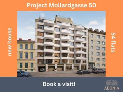 Wohnung mieten in 1060 Wien (Bild 4)