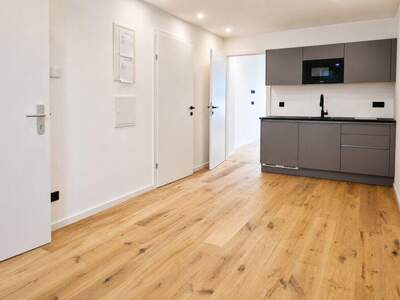 Terrassenwohnung kaufen in 1100 Wien (Bild 1)