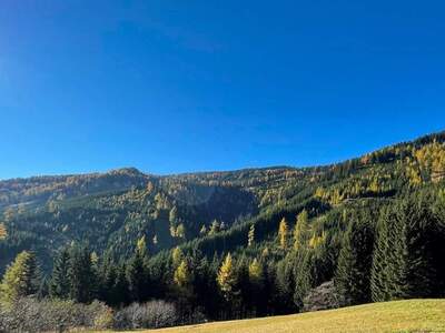 Gewerbeobjekt kaufen in 9400 Wolfsberg
