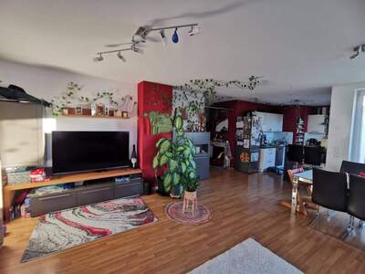 Wohnung provisionsfrei mieten in 2102 Hagenbrunn