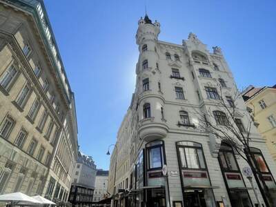 Gewerbeobjekt mieten in 1010 Wien (Bild 2)