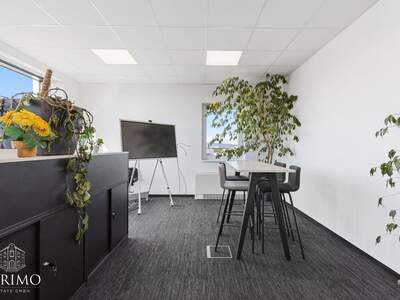 Gewerbeobjekt mieten in 4060 Leonding (Bild 3)