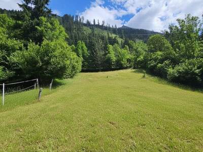 Grundstück kaufen in 9831 Innerfragant