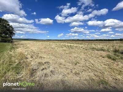 Grundstück kaufen in 7474 Deutsch Schützen (Bild 3)