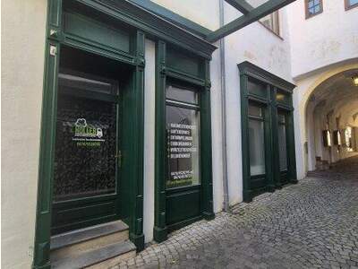 Einzelhandel mieten in 2620 Neunkirchen (Bild 1)