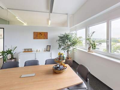 Gewerbeobjekt mieten in 8430 Leibnitz (Bild 3)