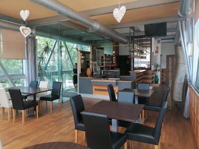 Gewerbeobjekt mieten in 8700 Leoben (Bild 3)