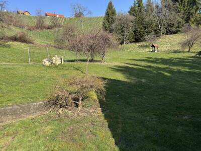 Bauernhaus mieten in 8472 Spielfeld (Bild 3)